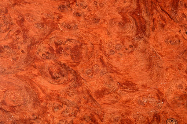 istock Red Carpathian Elm Burl 1149957851
