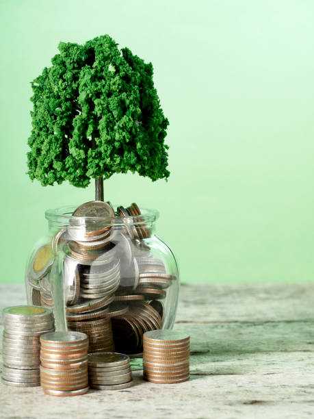 istock Trees growing on coins money on green background 1149959082