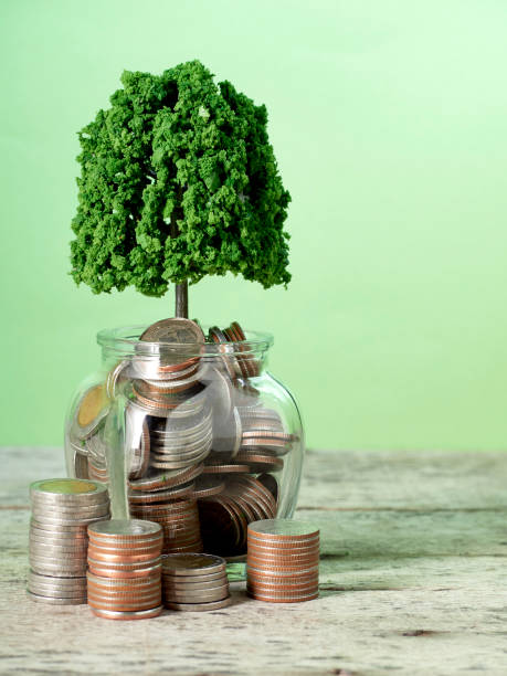 istock Trees growing on coins money on green background 1149959598