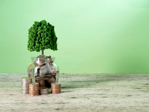 istock Trees growing on coins money on green background 1149959601