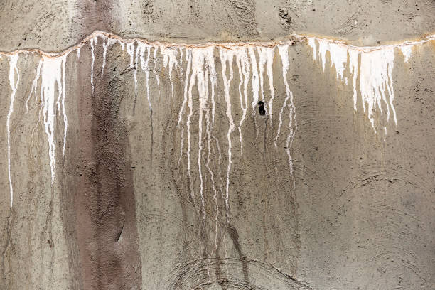 水槽外で発生した漏水 - leaky basement ストックフォトと画像