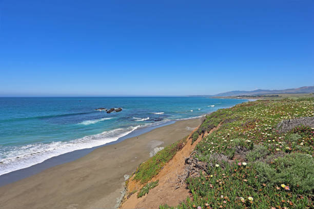 istock Central California coastline 1149971050