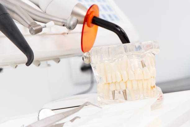 istock Dental jaw model, instruments and tools with instruments used by dentists in stomatology office 1149996054