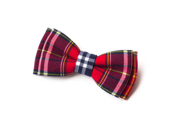 istock red checkered bow tie on a white background. Men's and women's accessories. Hipster style 1150011095