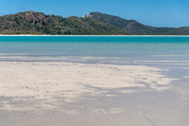 istock Whitehaven Beach in the Whitsunday Archipelago, Australia 1150011553