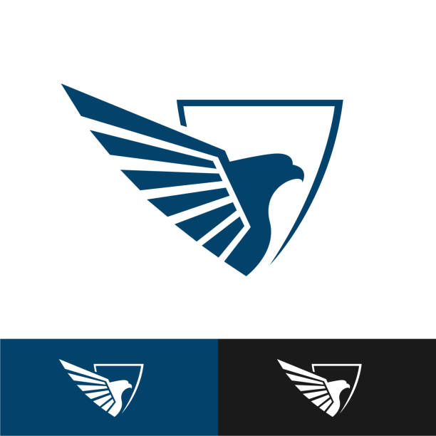 ilustraciones, imágenes clip art, dibujos animados e iconos de stock de icono de águila. falcon hawk eagle design vector. - falcon
