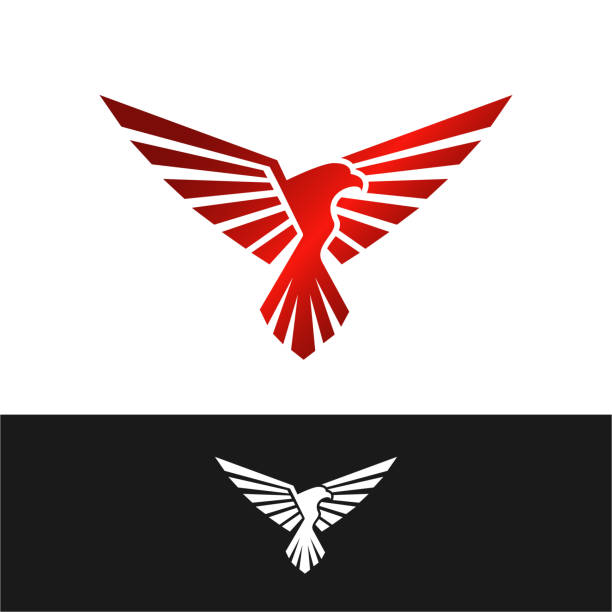 ilustraciones, imágenes clip art, dibujos animados e iconos de stock de icono de águila. falcon hawk eagle design vector. - falcon