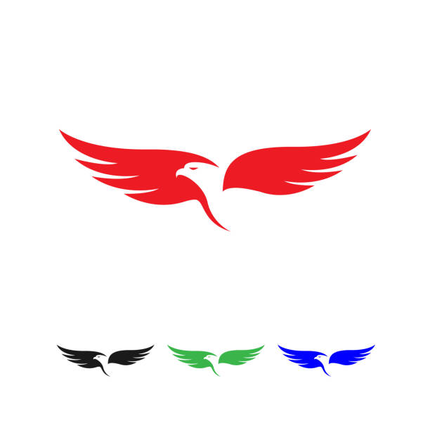ikona eagle. falcon hawk eagle design wektor. - the eagle stock illustrations