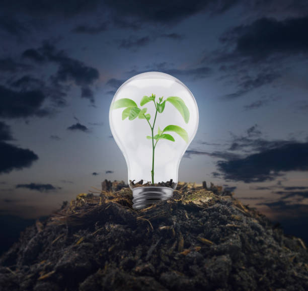 istock Ecology power and energy concept 1150015696