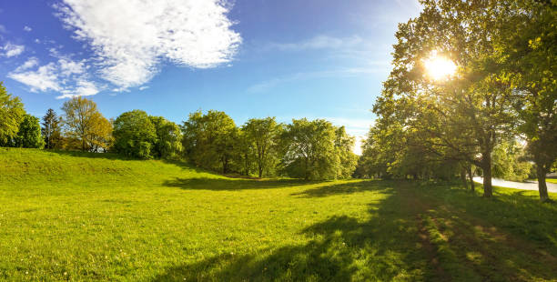 istock Building land for new construction project on green sunny meadow, plot for construction area 1150017520
