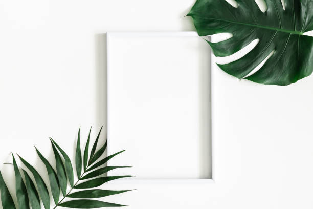 Summer composition. Tropical palm leaves, white photo frame on white background. Summer, nature concept. Flat lay, top view, copy space