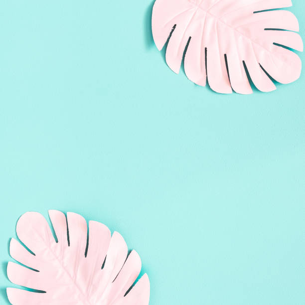 istock Summer composition. Pink palm leaves on blue background. Summer concept. Flat lay, top view, copy space 1150021126
