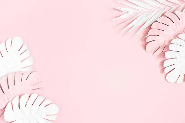 Photo of Summer composition. Tropical palm leaves on pink background. Summer concept. Flat lay, top view, copy space