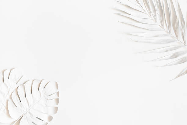 istock Summer composition. White palm leaves on white background. Summer concept. Flat lay, top view, copy space 1150021291