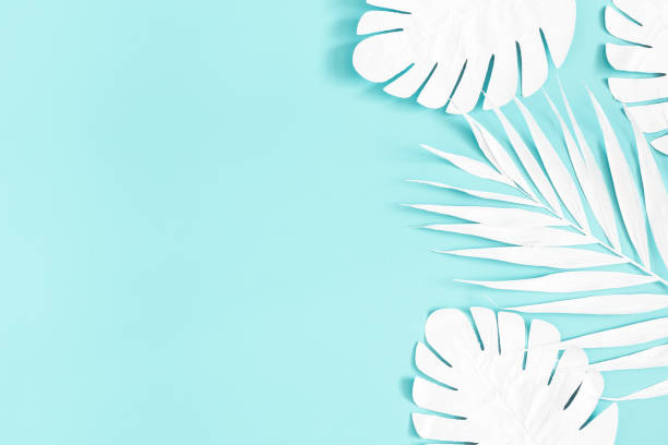 istock Summer composition. White palm leaves on blue background. Summer concept. Flat lay, top view, copy space 1150021298