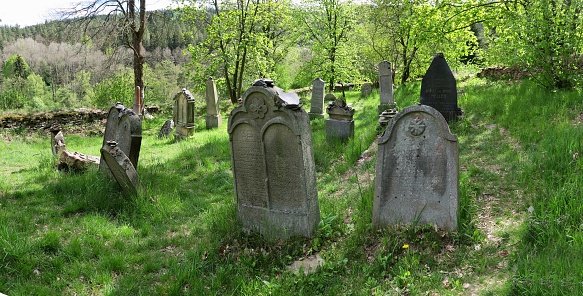 an abandoned Jewish cemetery in Rabštejn nad Středlou in the western part of the Czech Republic
