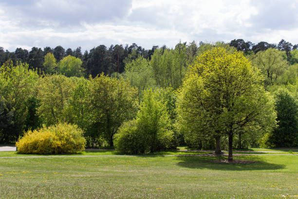 istock Idyllic sunny summer day and landscape 1150022358
