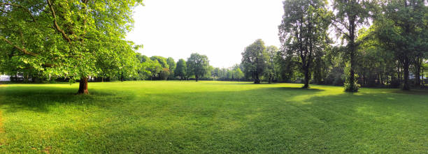 Building land for new construction project on green meadow, plot for construction area