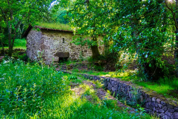 Photo of Watermill on the forest