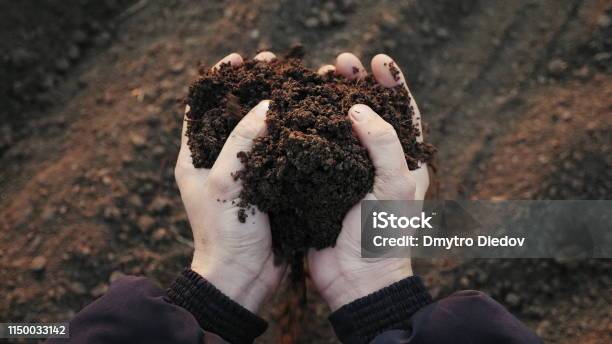 Farmer Holding Soil In Hands Closeup Stock Photo - Download Image Now - Dirt, Fertilizer, Vegetable Garden