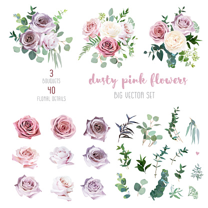 Dusty pink and mauve antique rose, lavender and pale flowers, eucalyptus, creamy dahlia, greenery big vector collection. Floral pastel watercolor style bouquets. All elements are isolated and editable