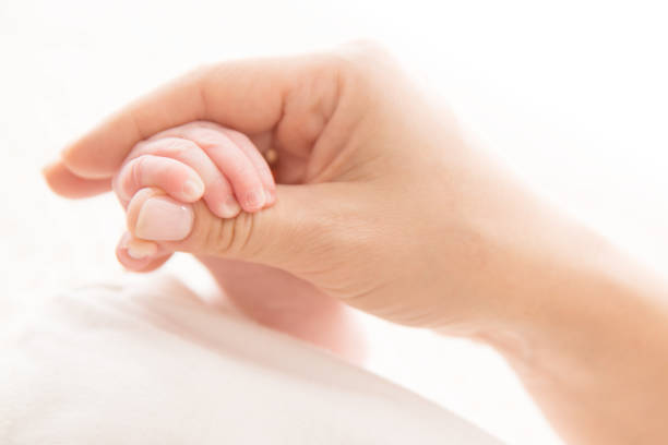 mãe recém-nascida da terra arrendada da mão do bebê, preensão da mamã miúdo recém-nascido no branco, conceito da ajuda - baby newborn human hand mother - fotografias e filmes do acervo