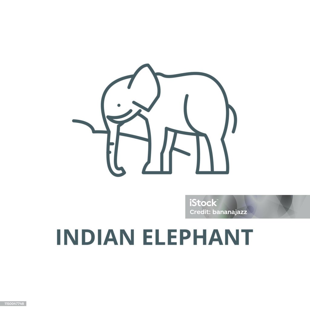 Indian elephant vector line icon, linear concept, outline sign, symbol Indian elephant vector line icon, outline concept, linear sign Abstract stock vector