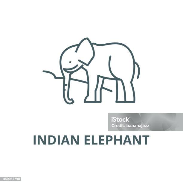 Indian Elephant Vector Line Icon Linear Concept Outline Sign Symbol Stock Illustration - Download Image Now