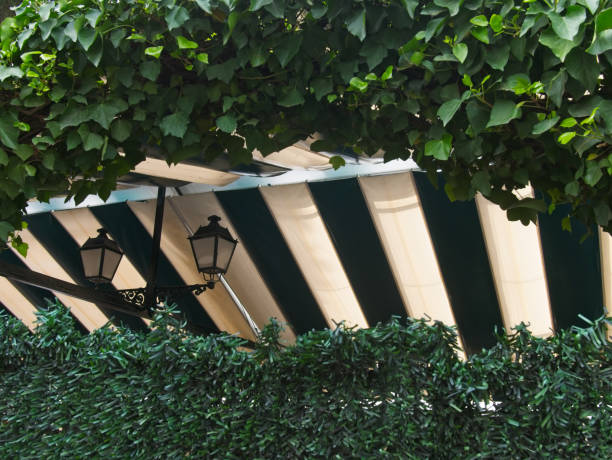 istock View of a garden with a pole marquee and black cast iron lanterns. 1150050254