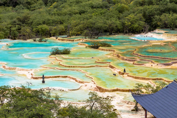 huanglong national park, sichuan, china, famosa por suas piscinas coloridas formadas por depósitos de calcita. a lagoa multi-colored no retrato é o conjunto o maior do mundo de lagoas do ar aberto, elevação de 3576m - huanglong - fotografias e filmes do acervo