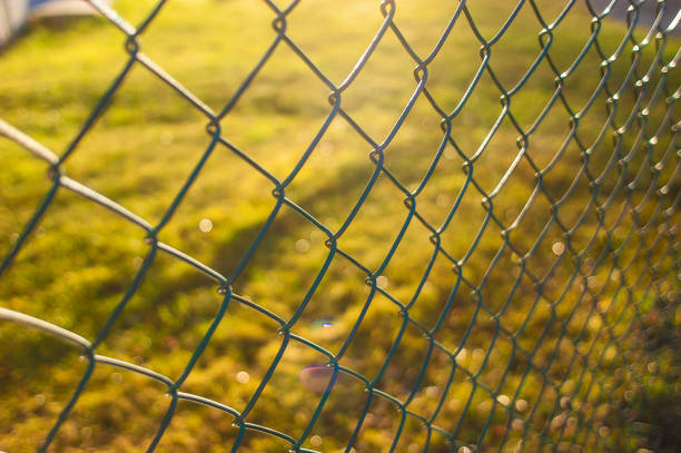 A rustic wooden fence stretches across a gently sloping grassy hill, set against a backdrop of autumn-colored trees and a soft blue sky.