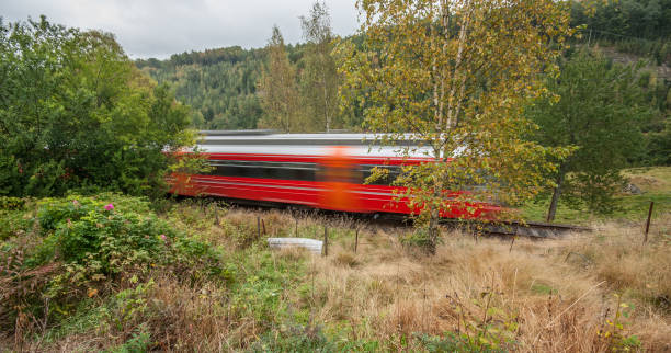 istock A red train passing on a track through the woods. 1150050383