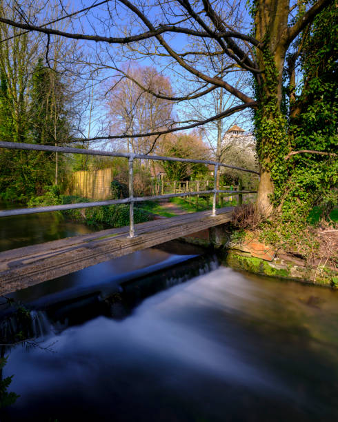 spring sunshine on st andrew's church in meonstoke in the south downs national park, hampshire, uk - grass church flood landscape imagens e fotografias de stock