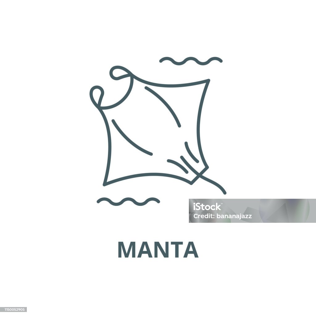 Manta vector line icon, linear concept, outline sign, symbol Manta vector line icon, outline concept, linear sign Animal Themes stock vector