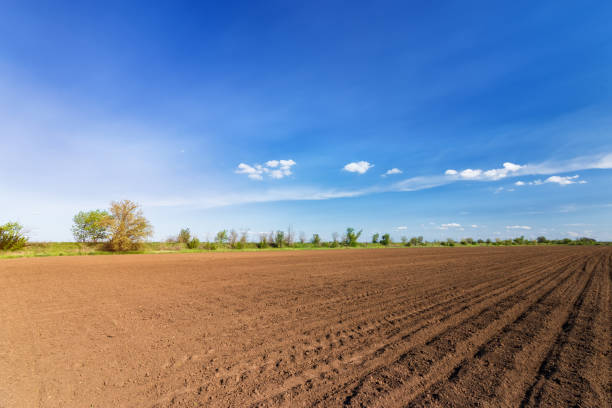 land on the field for planting