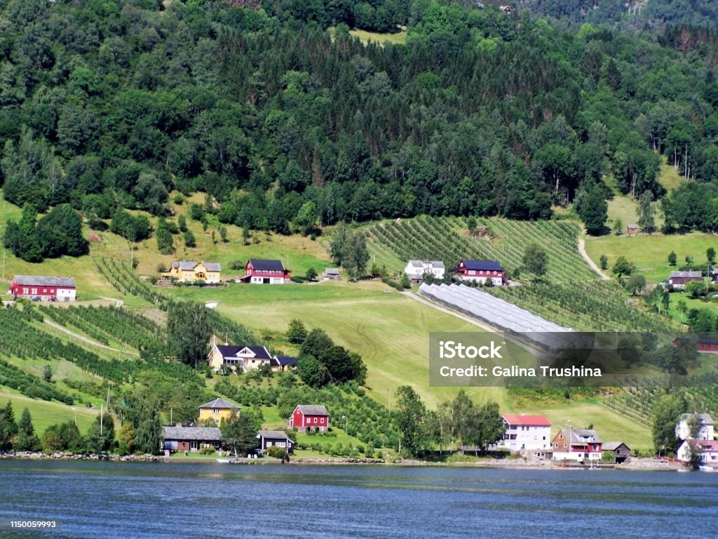 Paisagem norueguesa da natureza das casas - Foto de stock de Aldeia royalty-free