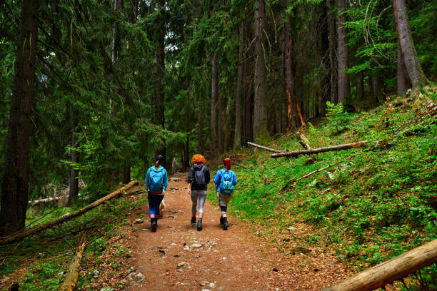 istock let's go in adventure 1150061711
