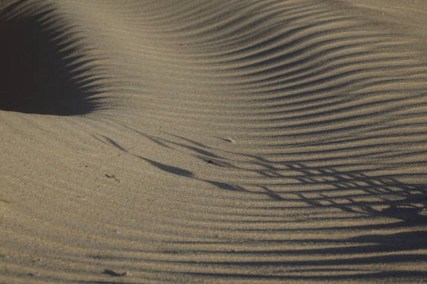 Dramatic beautiful interesting sky in evening light over the dunes in the Natural park of Corralejo,Fuerteventura,Las Palmas,Canary islands,Spain.