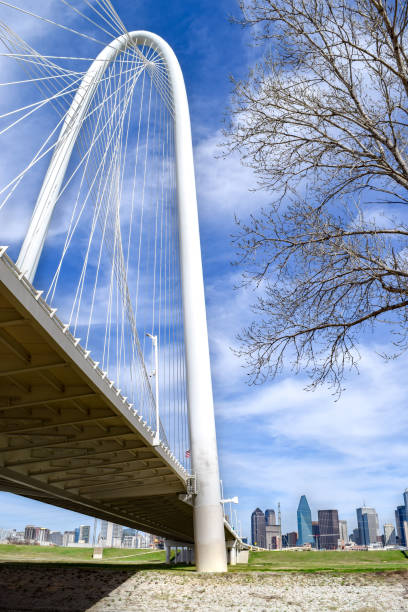 istock Bridge Above Trinity River and Downtown Dallas 1150062095