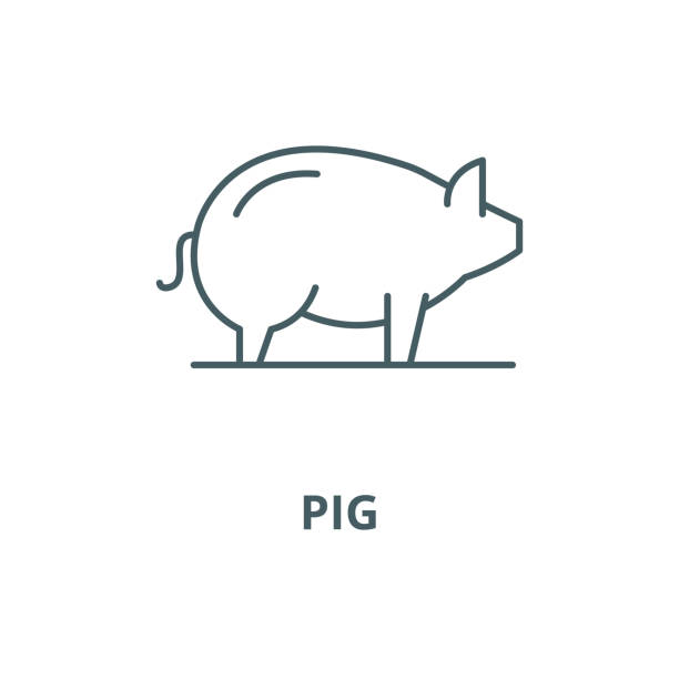 ilustraciones, imágenes clip art, dibujos animados e iconos de stock de icono de línea vectorial de cerdo, concepto lineal, signo de contorno, símbolo - piggy bank currency business coin