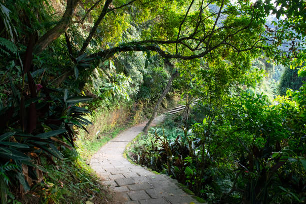 istock Cobblestone Trail in Beautiful Forest 1150064140