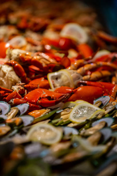 Premium luxury fresh raw buffet seafood bar: shrimp, oysters and mussels on ice