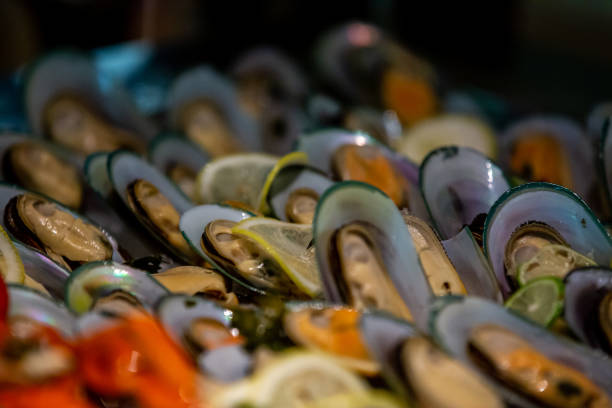 Fresh mussels and seafood on buffet line