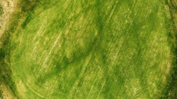 istock Aerial. Green grass texture background. 1150071301