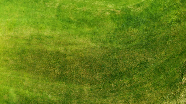 istock Aerial. Green grass texture background. 1150071520