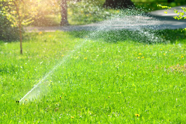 istock Grass watering system. Green lawn irrigation background. 1150072461