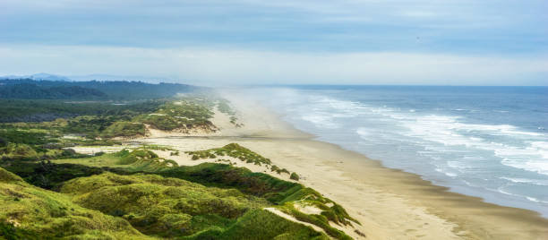 istock Oregon coast sand dunes overlooking panorama. OR, USA. 1150073971