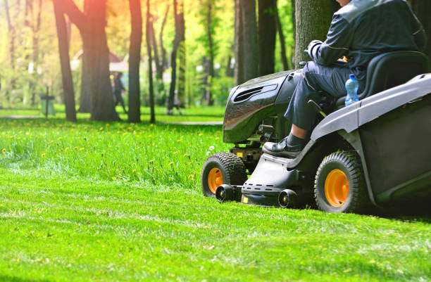 Professional lawn mower wirh worker cut the grass Professional lawn mower wirh worker cut the grass garden tractor stock pictures, royalty-free photos & images