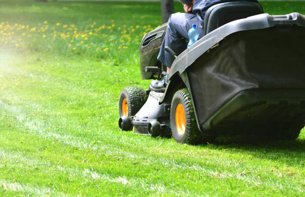 istock Green grass mowing with lawn mower 1150074732