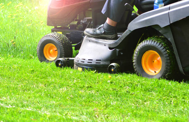 istock Green grass mowing with lawn mower 1150074750